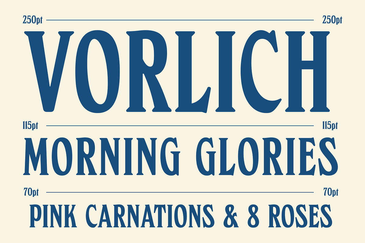 Vorlich - Classy Decorative Typeface, a Serif Font by Roams Type (Photo 2 of 20)