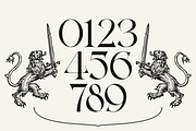 Kelyon - Modern Serif, a Serif Font by Valentino Vergan (Thumbnail 9 of 12)