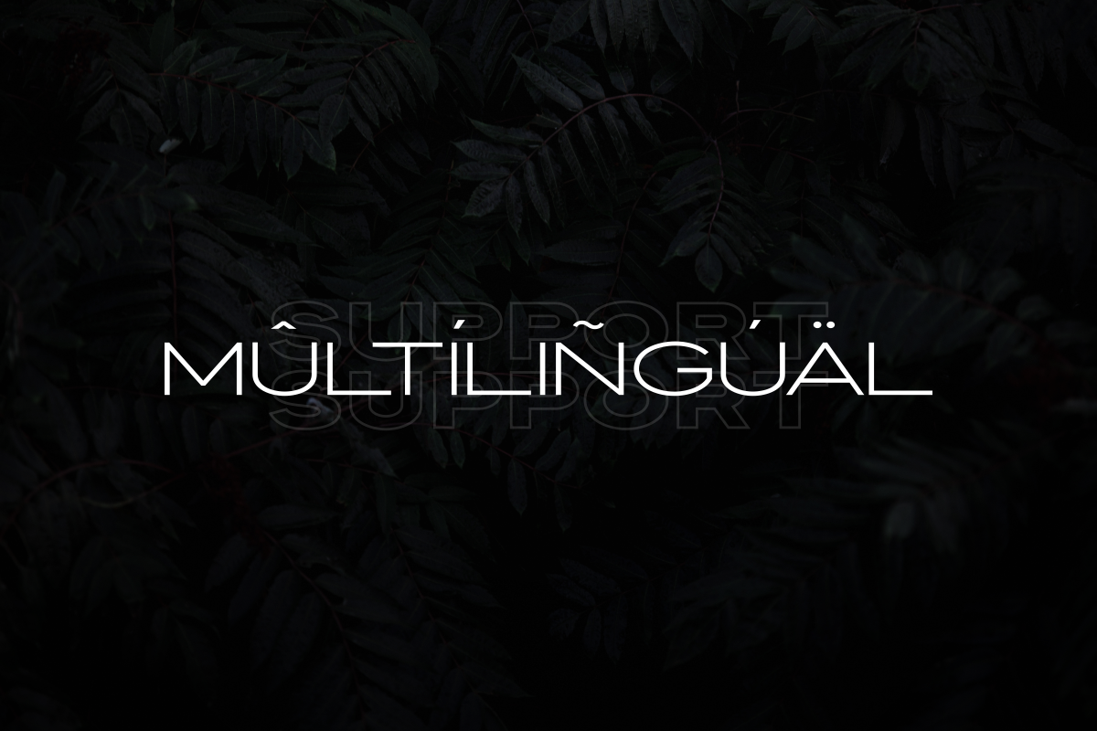 Knockout - Extended Font Family, a Sans Serif Font by Sensatype (Photo 19 of 25)