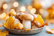 Fresh mushrooms with autumn leaves and pumpkins, a Food & Drink Photo by AlyaAnd (Thumbnail 1 of 2)