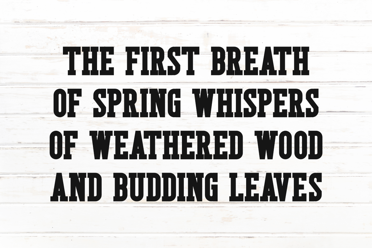 Rustic Spring - Modern Slab Serif, a Slab Serif Font by Pian45 Studio (Photo 3 of 6)