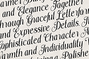 Stylish Harmony - Duo Luxury Font, a Serif Font by Font Liner (Thumbnail 2 of 10)