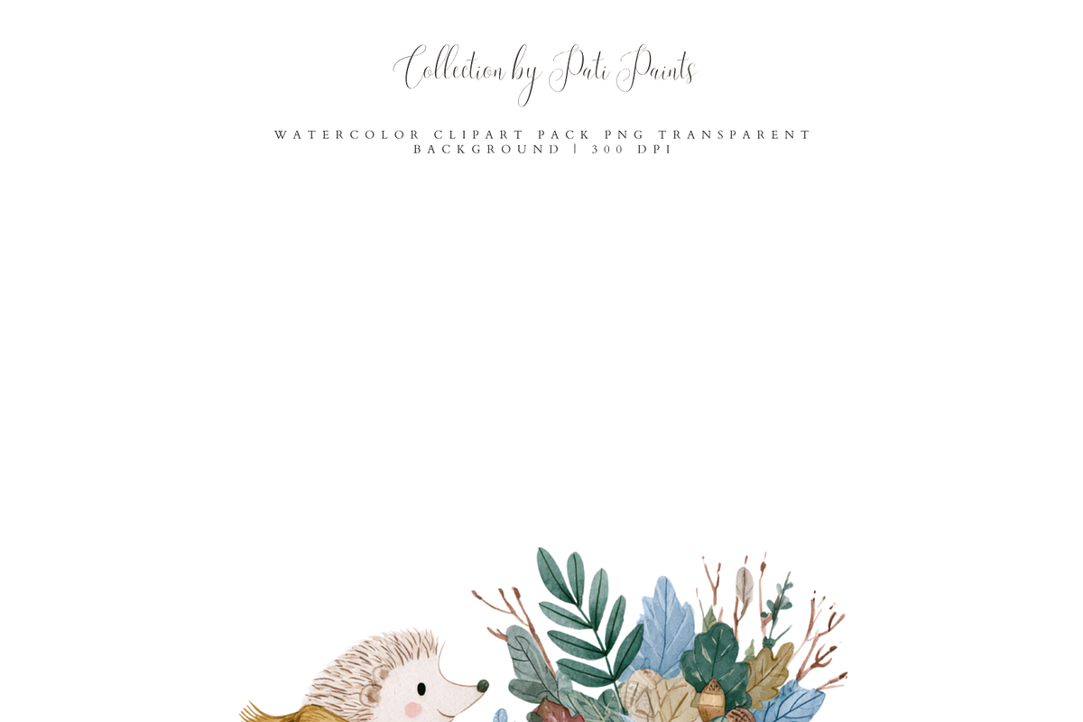 Nursery Woodland Animal Clipart Set, an Animal Illustration by Pati Paints (Photo 6 of 7)
