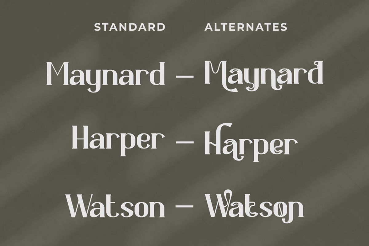Kapecha - Modern Ligature Serif Font, a Sans Serif Font by PutraCetol Studio (Photo 4 of 11)