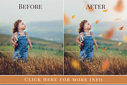 Oak Grove - falling leaves overlay, an Object Graphic by BrownLeopard (Thumbnail 2 of 2)