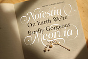 Megivia Calligraphyc Serif | 6 Fonts, a Serif Font by IM Studio (Thumbnail 2 of 12)