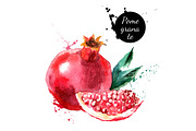 20 Watercolor Fruits Vector, a Food Illustration by Elena Pimonova (Thumbnail 3 of 5)