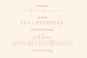 Dialog Sheila, a Script Font by Integritype Studio (Thumbnail 10 of 11)