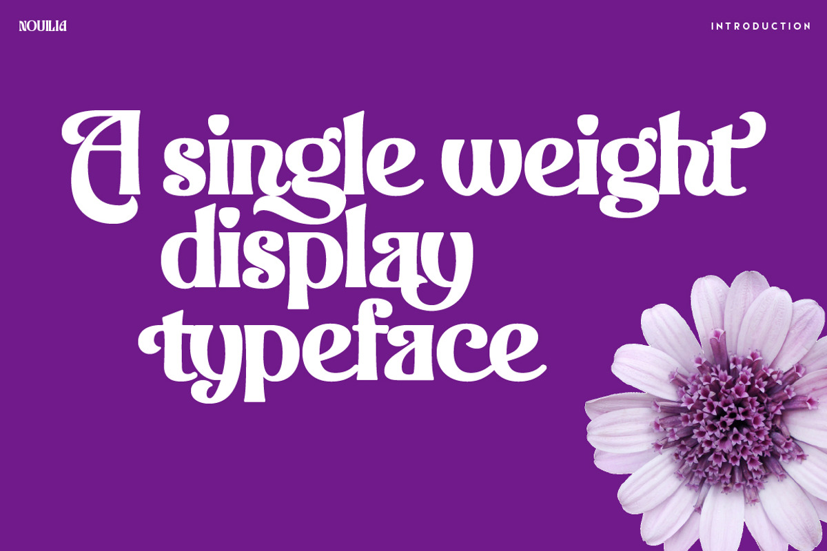 Nouilia, a Sans Serif Font by Typogama (Photo 4 of 16)