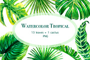 Tropical leaves watercolor, a Decorative Illustration by lilisavelieva (Thumbnail 1 of 4)