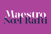 Factum font family, a Serif Font by Fontop (Thumbnail 8 of 12)