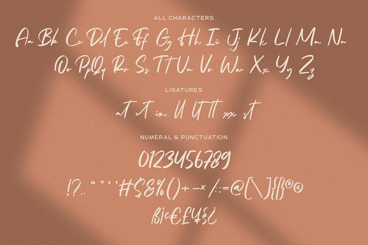 Aster Sphin - Script Font, a Script Font by Krakenbox Studio (Photo 9 of 11)