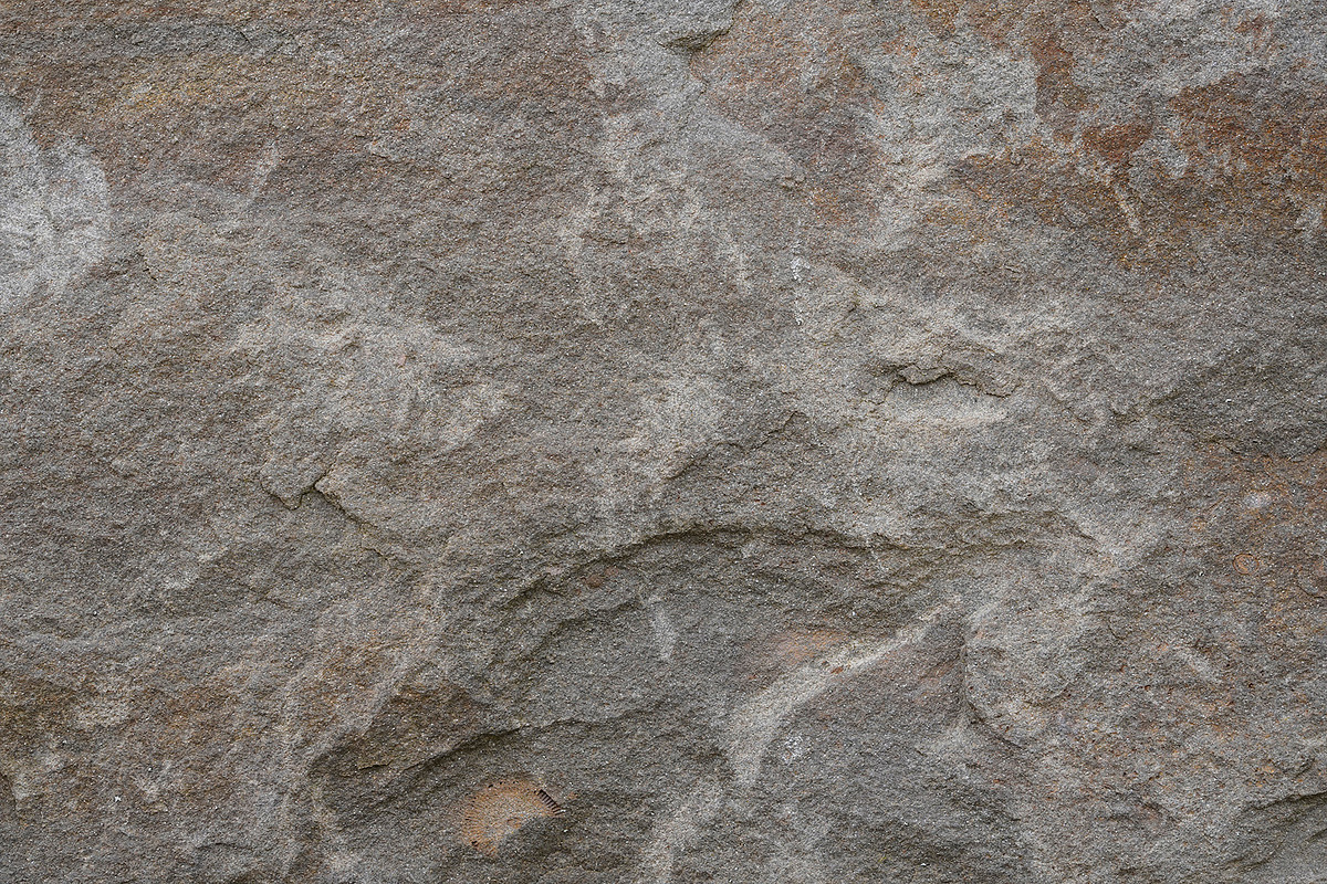 60 Textured Stone Photos for Texture, a Texture Graphic by Bilgep_design (Photo 17 of 20)
