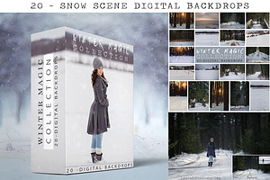 20- Snow Digital Backdrops - Winter