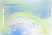 Dopamine Lime Backgrounds Collection, a Background Graphic by Colden Blue (Thumbnail 6 of 14)