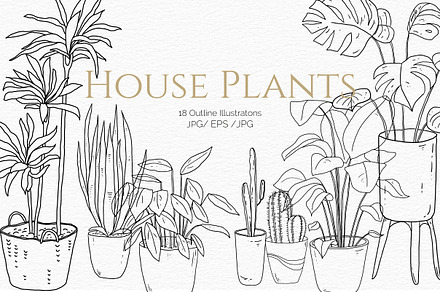 House Plants. Vector illustrations, a Decorative Illustration by iri-illustration