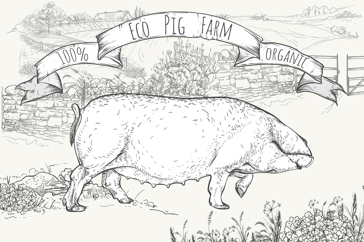 Eco pig farm, an Object Graphic by ArtOwl (Photo 6 of 7)