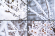 Frozen morning bundle /77pics, a Background Graphic by tydla (Thumbnail 9 of 12)