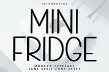 Mini Fridge