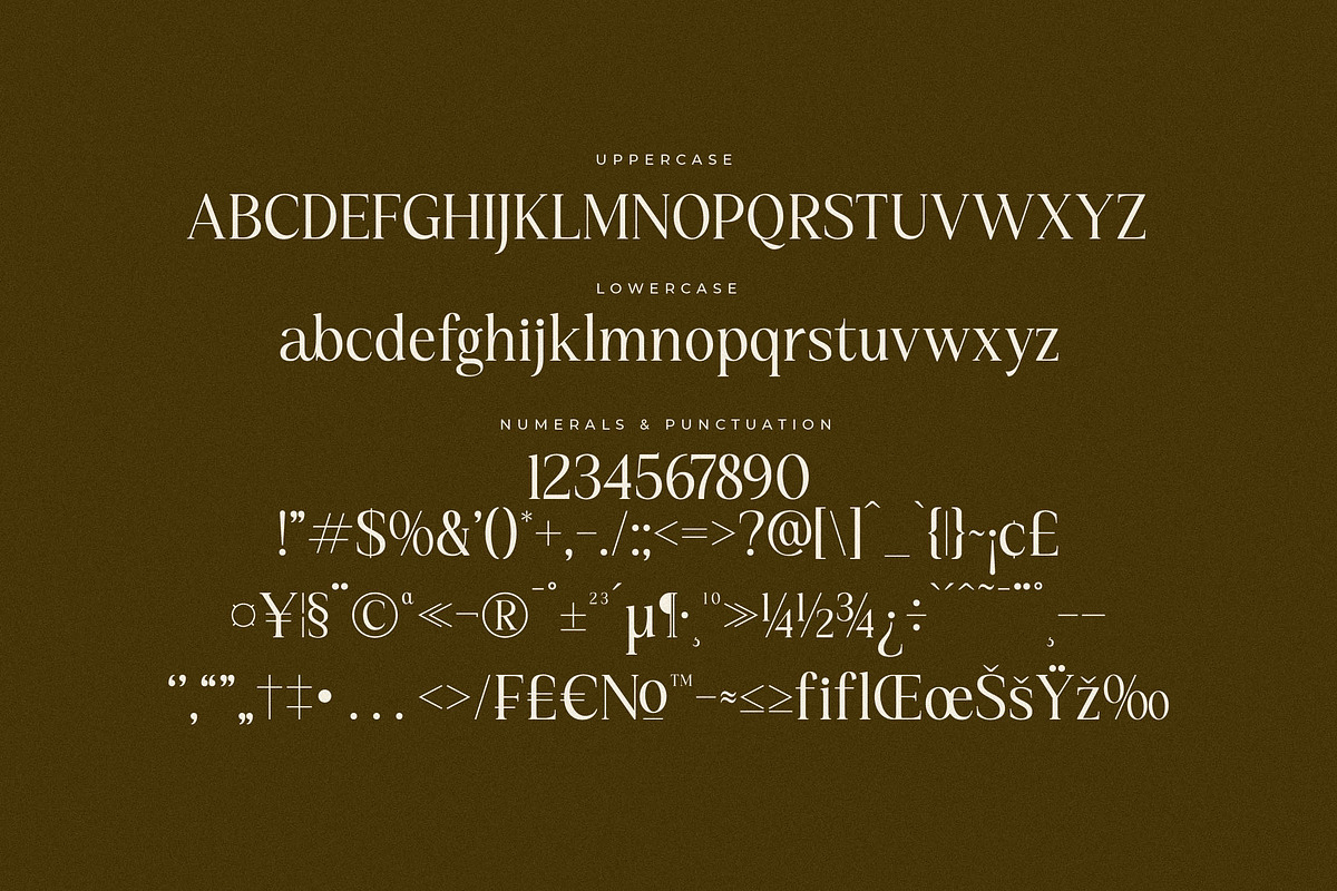 Kiprhany Modern Serif Font, a Serif Font by Letterena Studios (Photo 13 of 15)