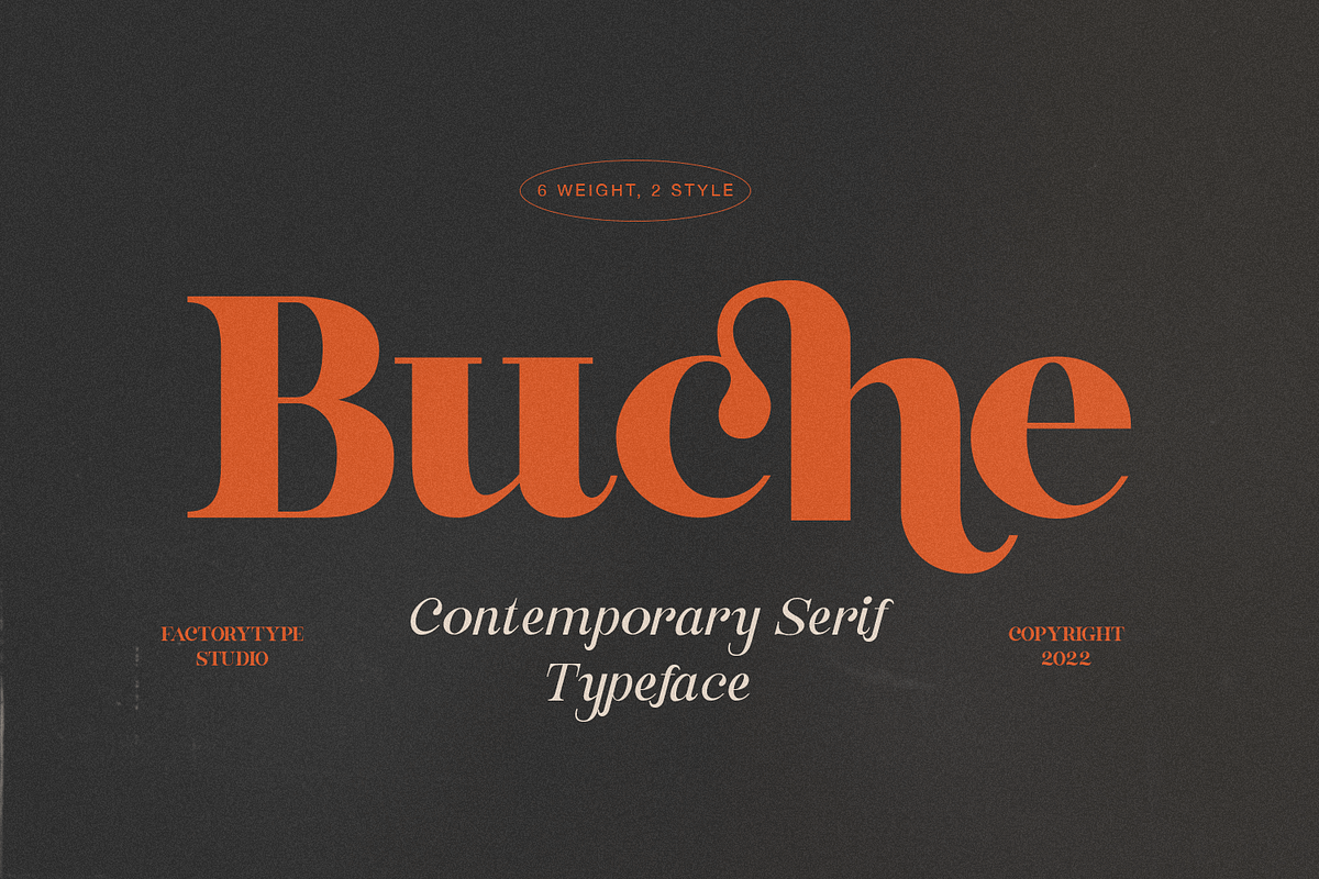 Buche Contemporary Serif, a Serif Font by FactoryType Studio (Photo 1 of 12)