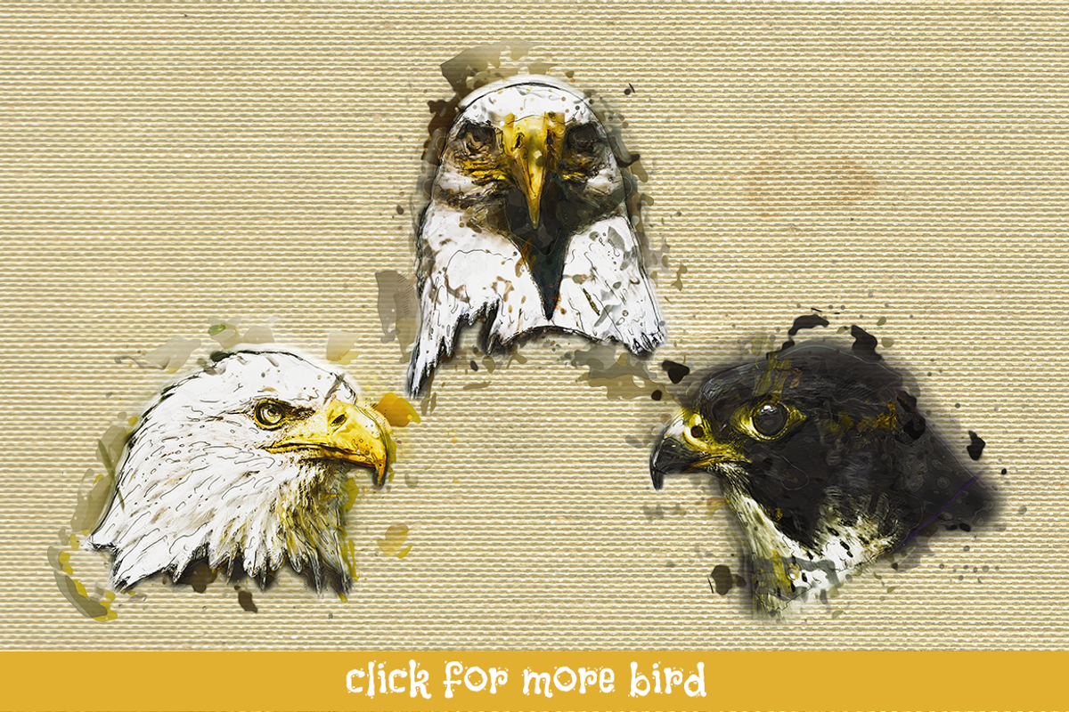 Bird Head Pencil & Watercolor vol 2, an Animal Illustration by Sahade Studio (Photo 3 of 3)