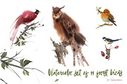 Watercolor forest birds, an Animal Illustration by ivanushka-art (Thumbnail 1 of 5)