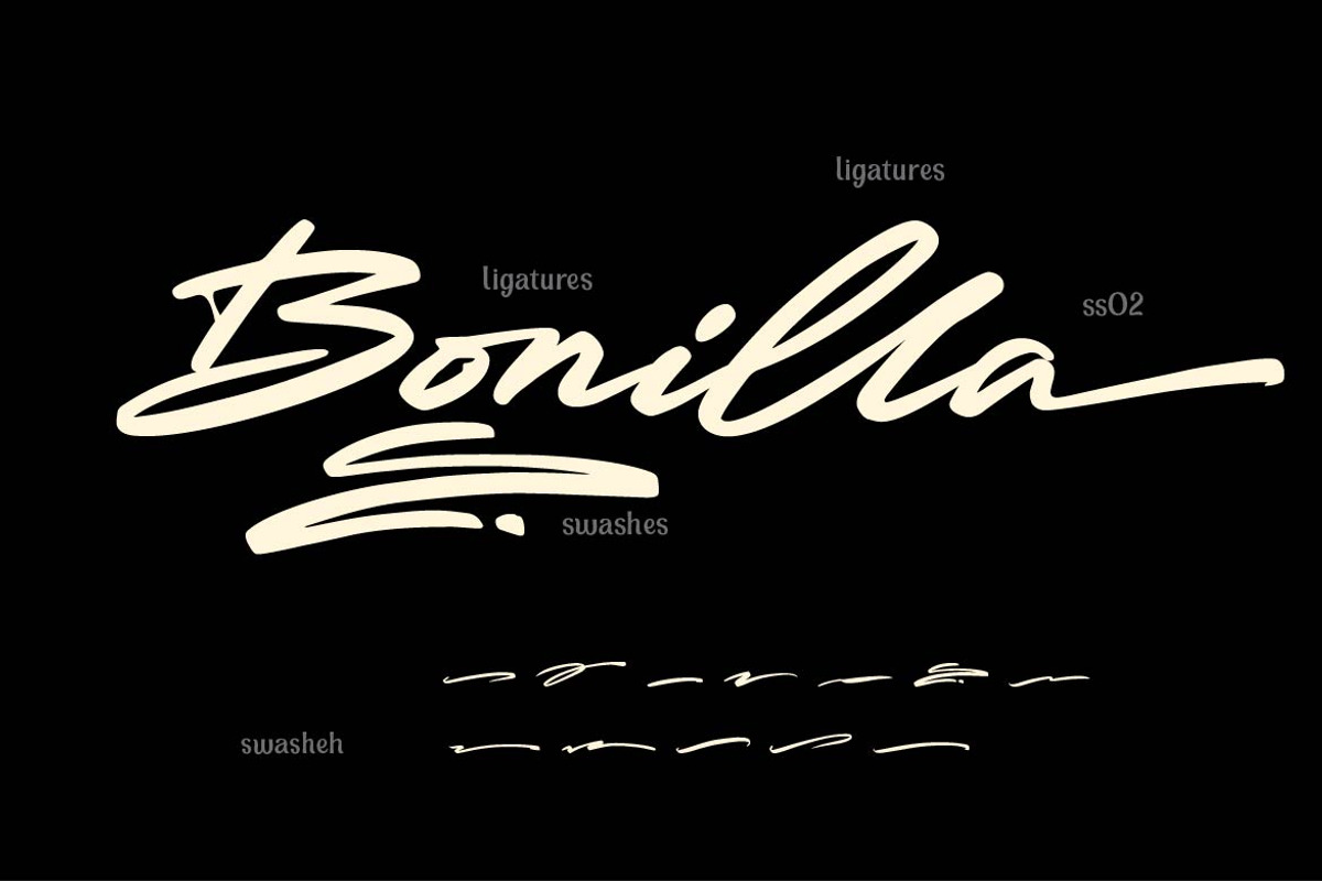 Saio - Signature Font, a Script Font by Olexstudio (Photo 8 of 10)