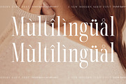 Nortine A New Modern Serif Font, a Serif Font by Storytype Studio (Thumbnail 12 of 15)