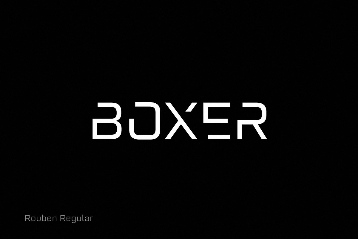 Rouben Complete Family, a Sans Serif Font by Arbuz (Photo 8 of 11)