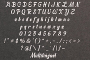 Seriqon - Font Duo, a Handwritten Font by NDNL Studio (Thumbnail 8 of 8)