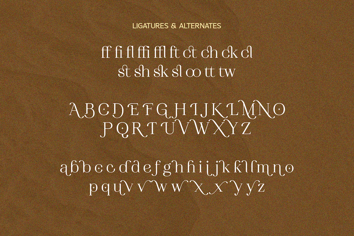 SS Geraldine - Beauty Serif Font, a Serif Font by Typocracy Studio (Photo 10 of 11)