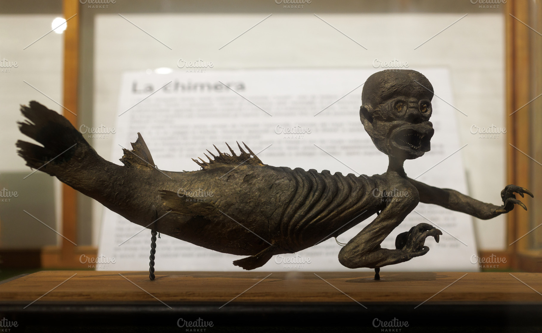 Chimera displayed in the Wunderkammer of the Civic Museum of Nat, an Arts & Entertainment Photo by Bepslabor