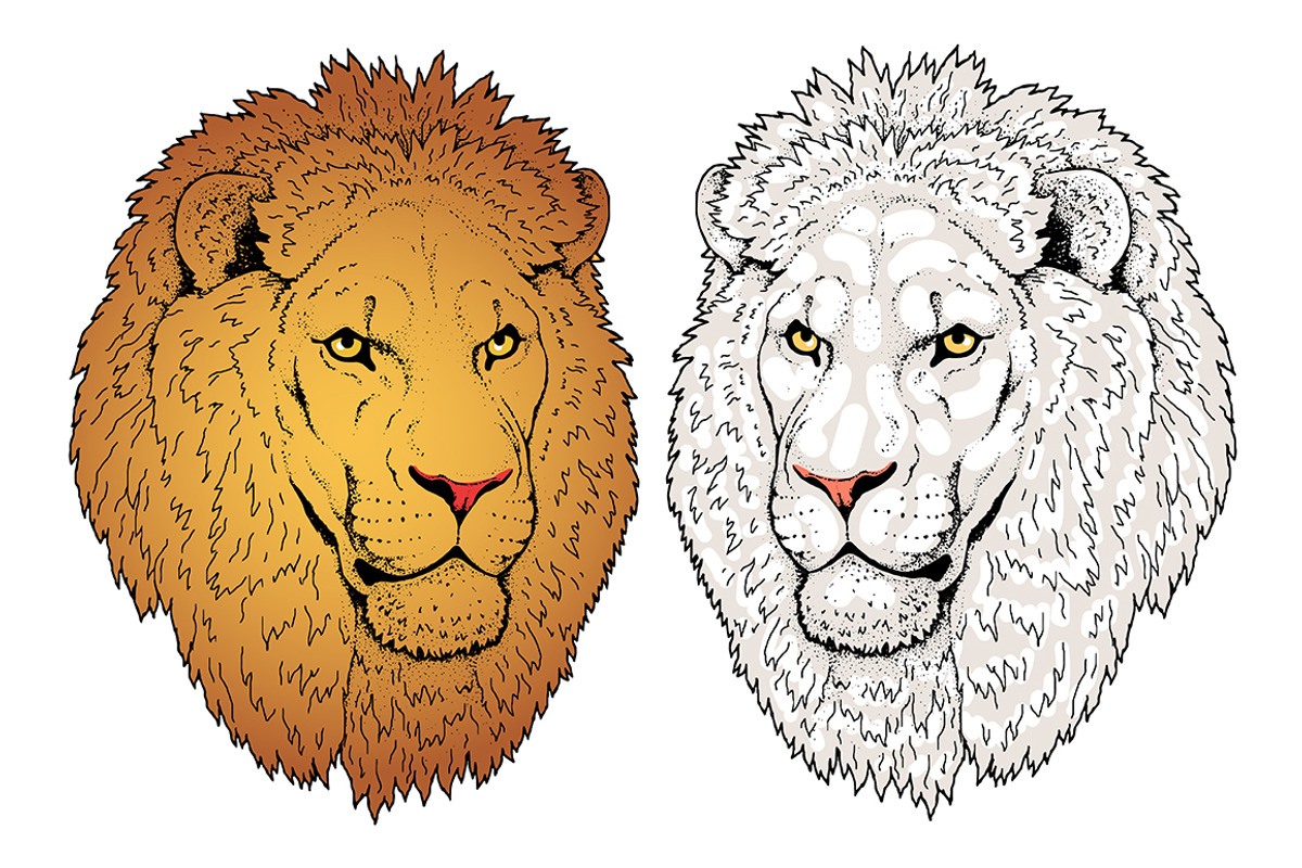 LIONS set, an Animal Illustration by Tanya Akhmett (Photo 3 of 5)