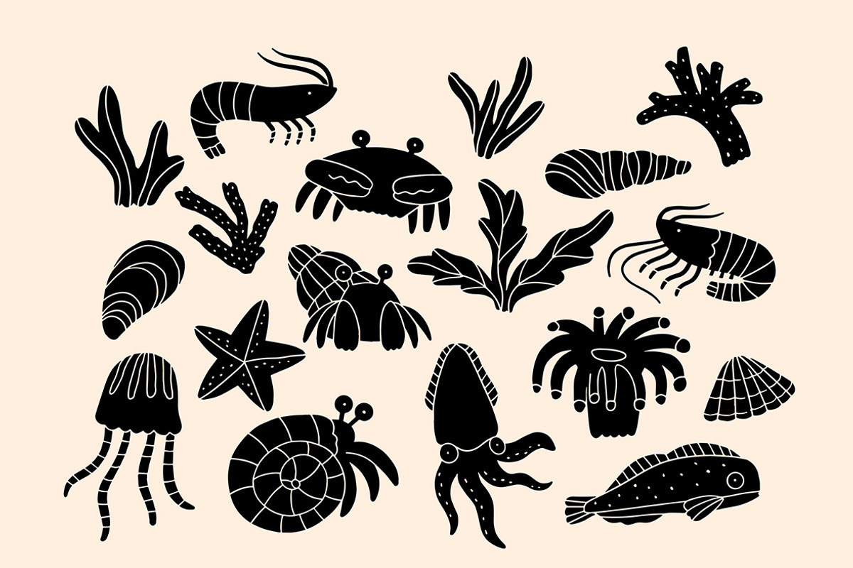 Rock Pool Linocut Bundle, an Illustration by ClayStudio (Photo 2 of 8)