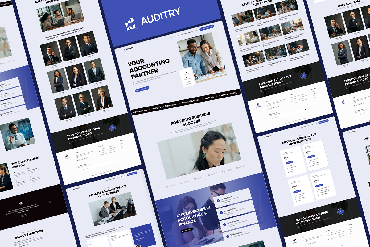 Auditry, Accounting Service Template preview 5