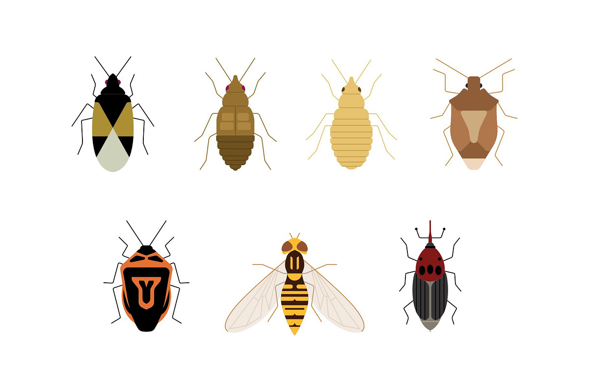 Flat Insects Illustration, an Animal Illustration by Buqancreative (Photo 3 of 6)
