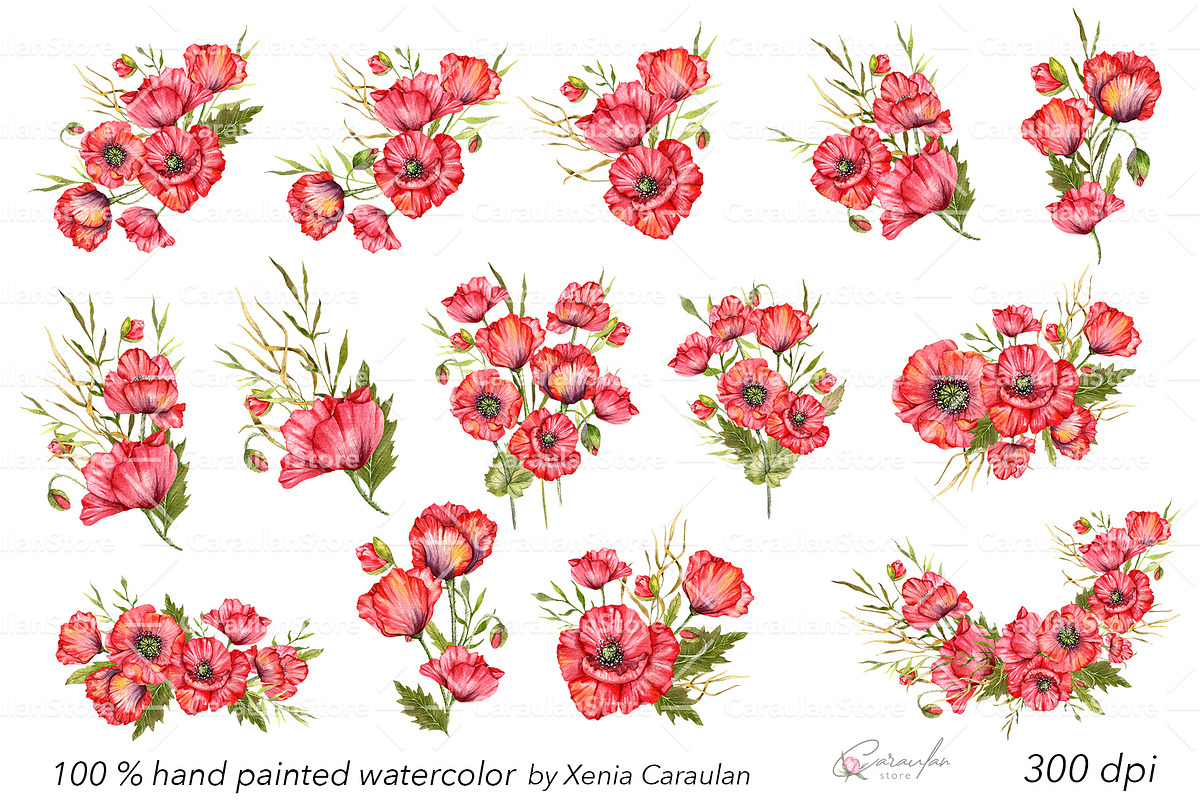 Red Poppy Watercolor Clipart, a Decorative Illustration by CaraulanStore (Photo 2 of 11)
