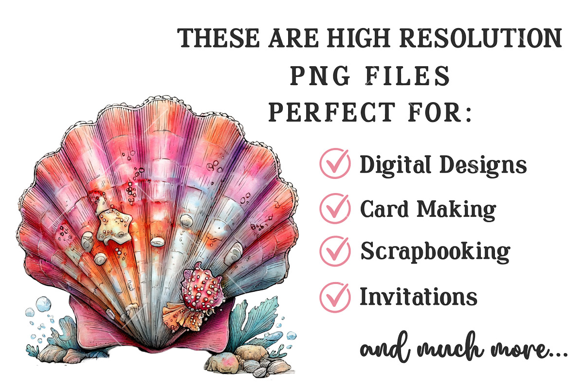 Whimsical Summer Seashell Clipart, an Illustration by OK Design (Photo 4 of 6)