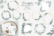 Eucalyptus Foliage Watercolor Set, an Illustration by Catch the Dream Art (Thumbnail 2 of 7)