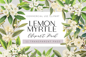 Lemon Myrtle Australian Clipart