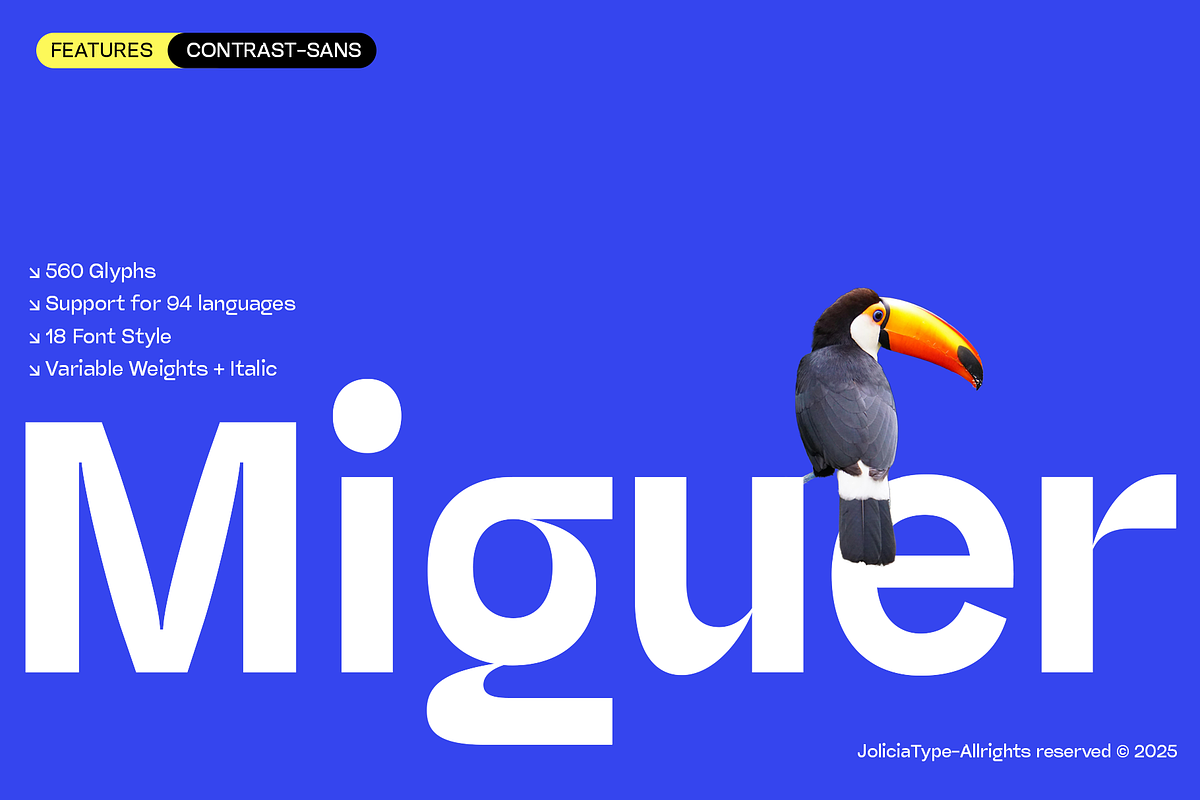 Miguer Sans | Contrast Sans, a Sans Serif Font by Jolicia Type (Photo 1 of 21)