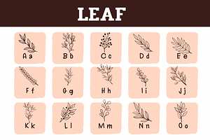 Leaf