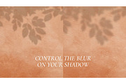 Animated Shadow Overlay Scene Mockup, a Product Mockup by Oui Create Studio (Thumbnail 13 of 17)