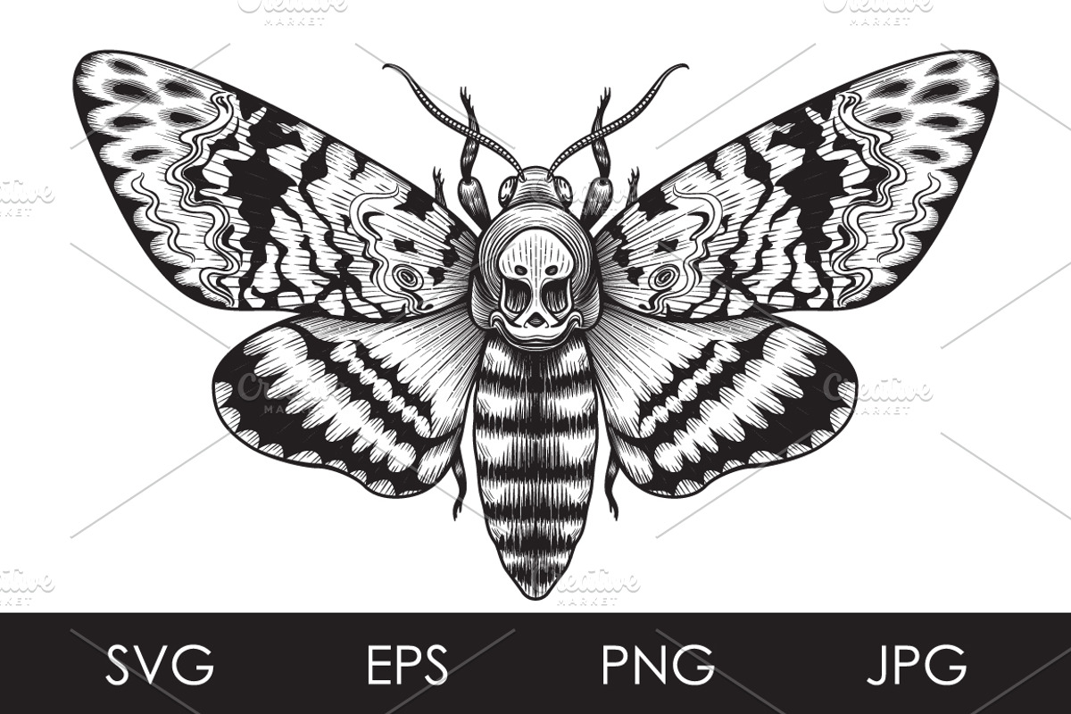 Monochrome Death's-Head Hawk Moth, a Decorative Illustration by Valentyna Smordova (Photo 1 of 2)