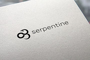 Serpentine Logo, a Branding & Logo Template by GLXY (Thumbnail 4 of 4)