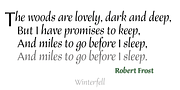 Winterfell, a Serif Font by Alan Meeks Collection (Thumbnail 4 of 4)