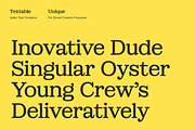 Sailer: Display Serif Font Family, a Serif Font by Eko Bimantara (Thumbnail 7 of 14)