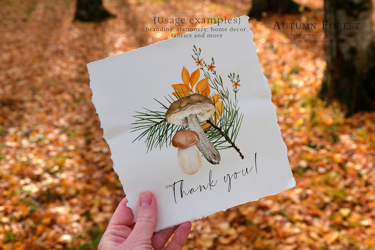 Fall forest mushrooms clipart, an Illustration by Ksenia Shmakova (Photo 11 of 11)