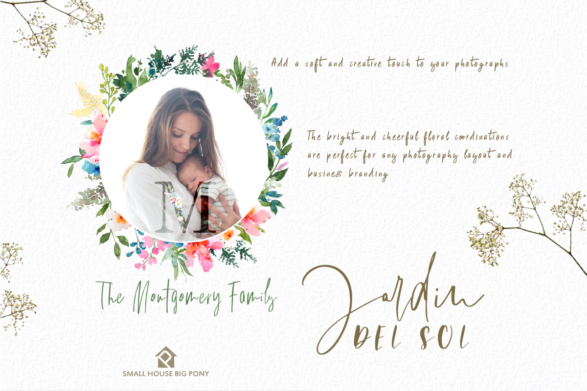 Jardin Del Sol - Watercolor Floral S, an Illustration by SmallHouseBigPony (Photo 4 of 13)
